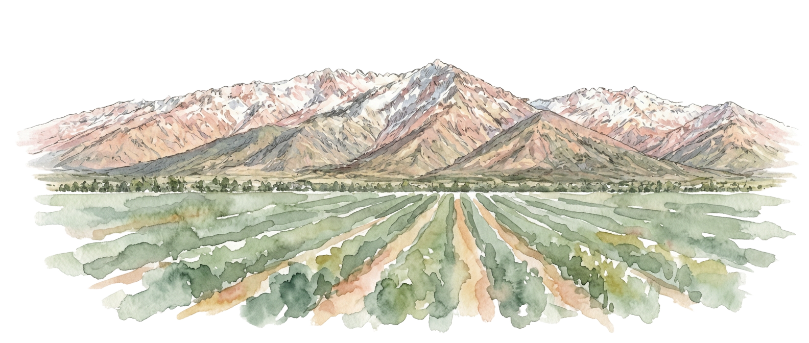 Vista despejada de la cordillera y viñedos del Valle de Uco en acuarela